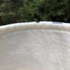 Sac dinosaures